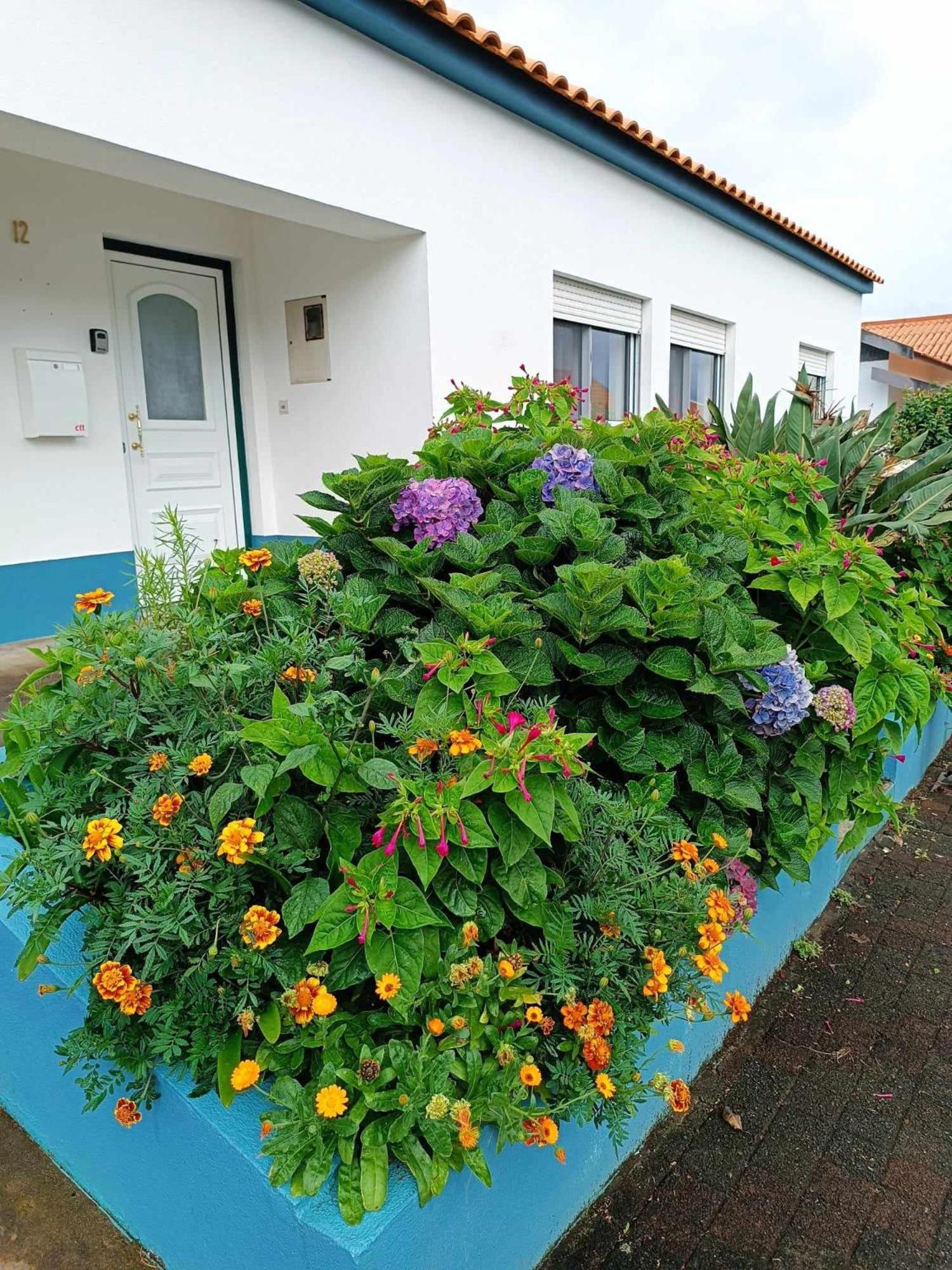 Apartamento Da Matilde Santa Cruz das Flores Eksteriør billede